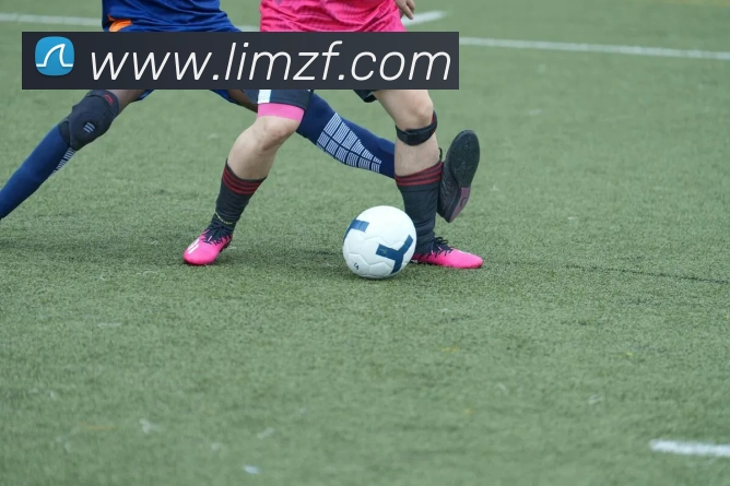 乐鱼官方网站平台生态图