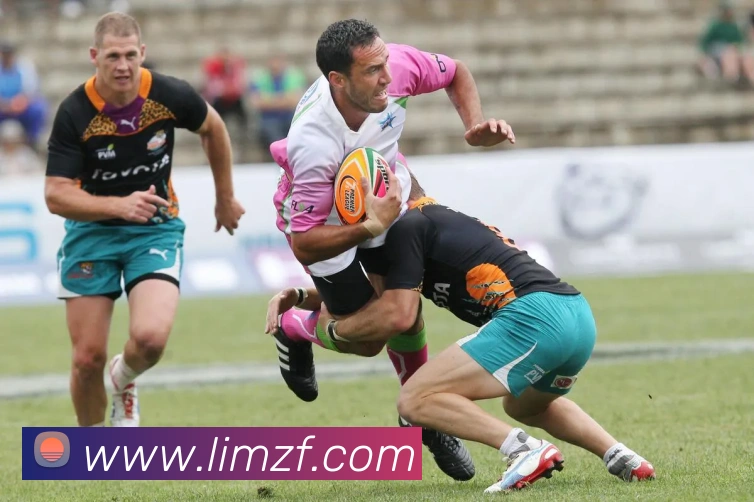 乐鱼官方网站全站App